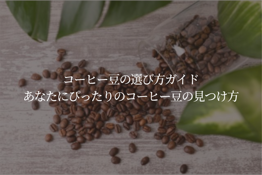 コーヒー豆の選び方ガイド｜あなたにぴったりのコーヒー豆の見つけ方